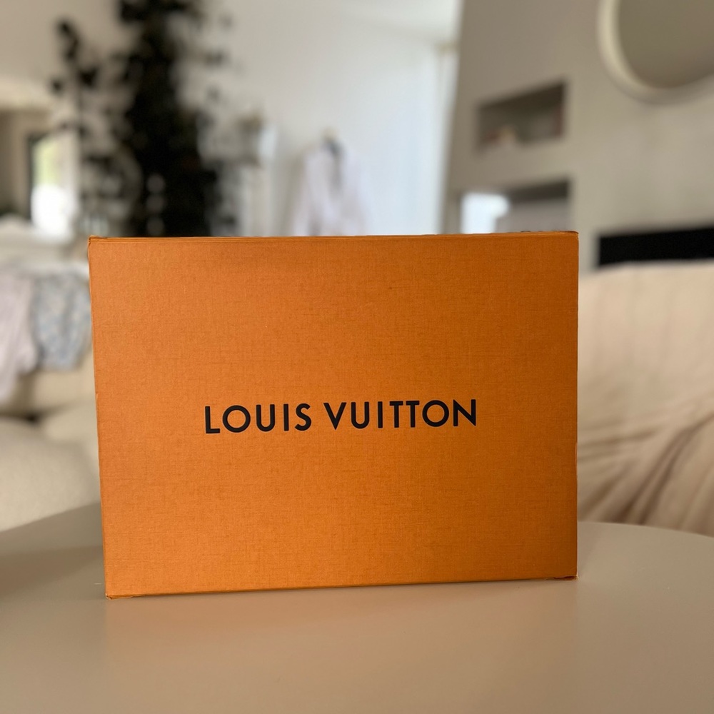 Louis Vuitton Magnetic Storage Bag Shopping Box